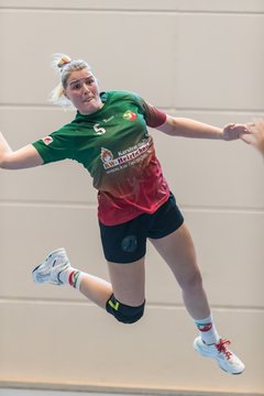 Bild 254 - F HSG Kremperheide/Muensterdorf - Slesvig IF 2 : Ergebnis: 30:26